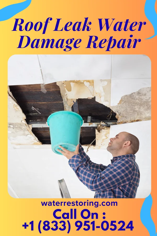 Roof Leak Water Damage Repair in Warrenton, OR